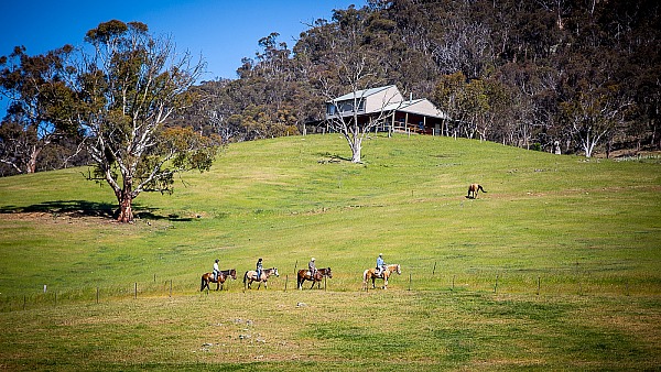 Packers High Country Horse Riding