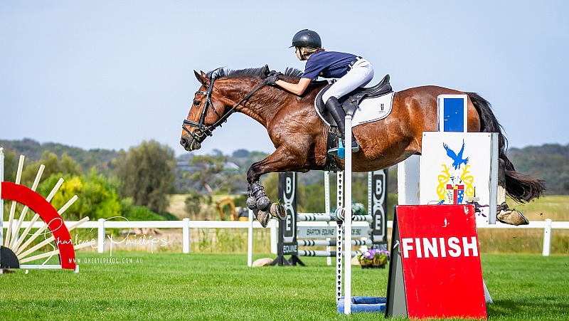 2019 ISJ Spring Show and the Open/Jnr/Yr Championships Boneo Park