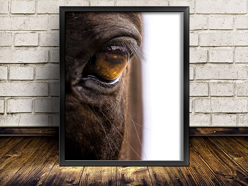 FRAMESOneEyedFrogPhotography.jpg