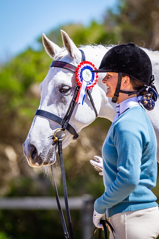 Toorak_Horseshow_2018-1-3_copy.jpg