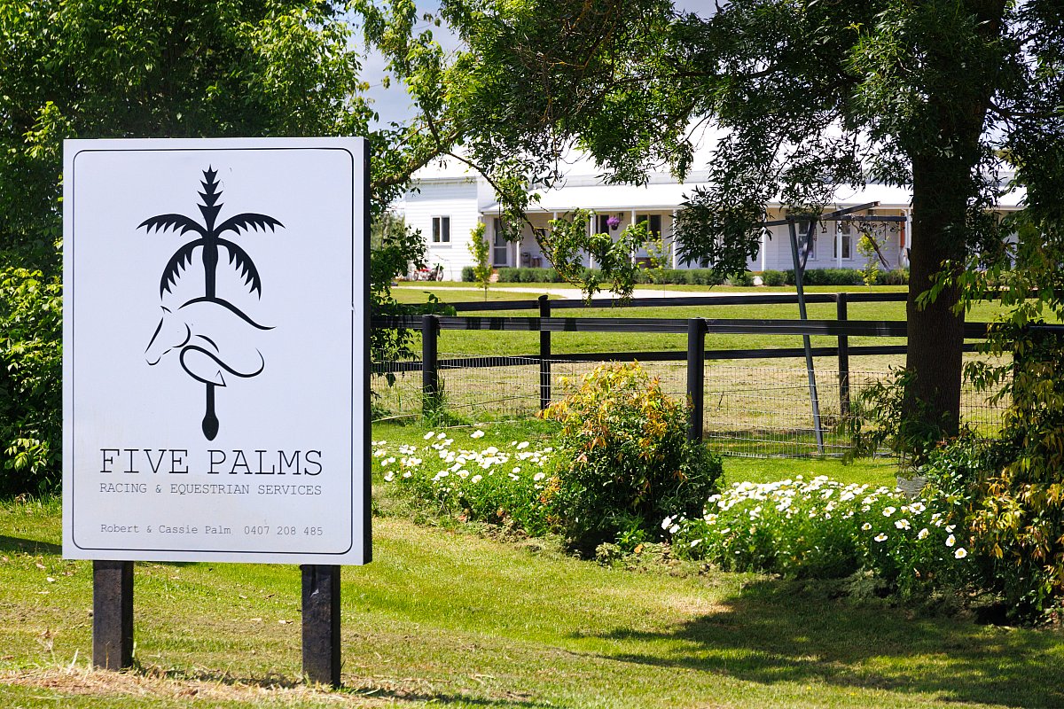 Five Palms Racing & Equestrian Services 1.jpg