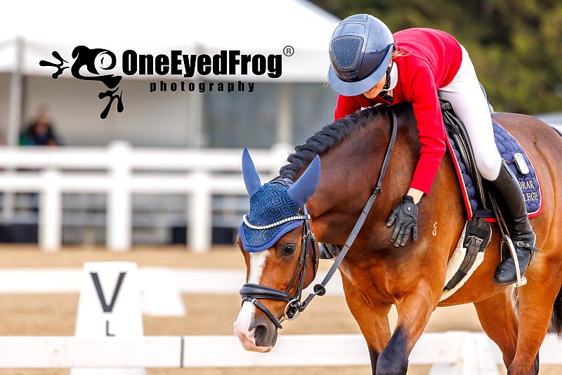 FROL7170.jpg