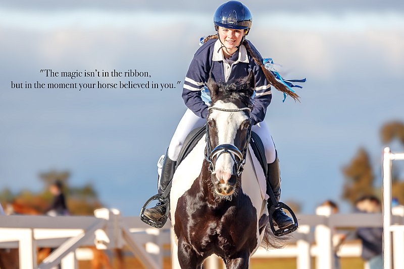 Southern Cross Event Hire 4 YO Young Jumping Susanna Verco-ULTIMATE CERA Z-300.jpg