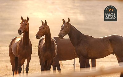 The man from the Snowy River