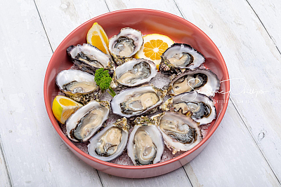 Food Photography.jpg